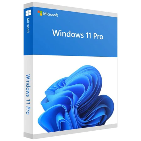 Microsoft Windows 11 Professional Single-User ESD License - FQC-10572